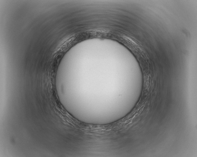 X0000116600774200912110939