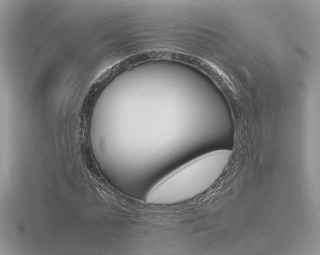 X0000116600775200912110939