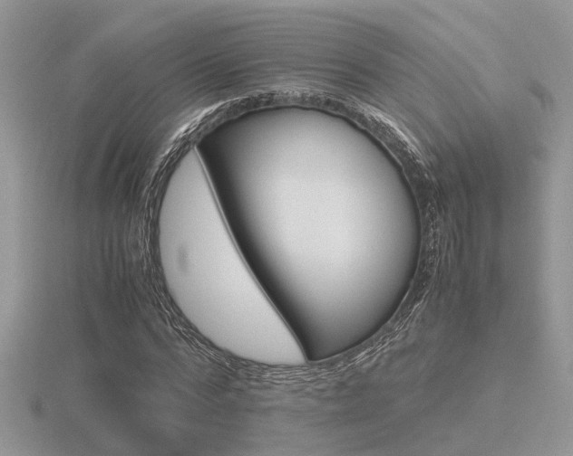 X0000116600776200912110939