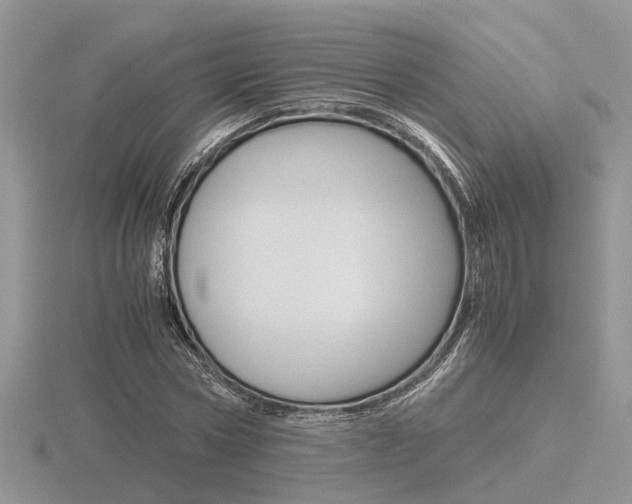 X0000116600778200912110939