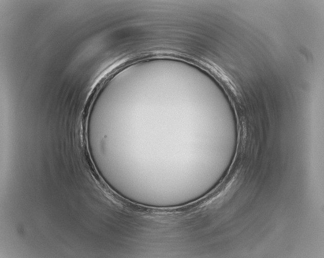 X0000116600782200912110939