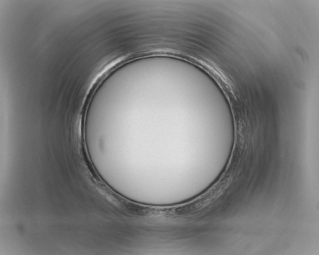 X0000116600790200912110939