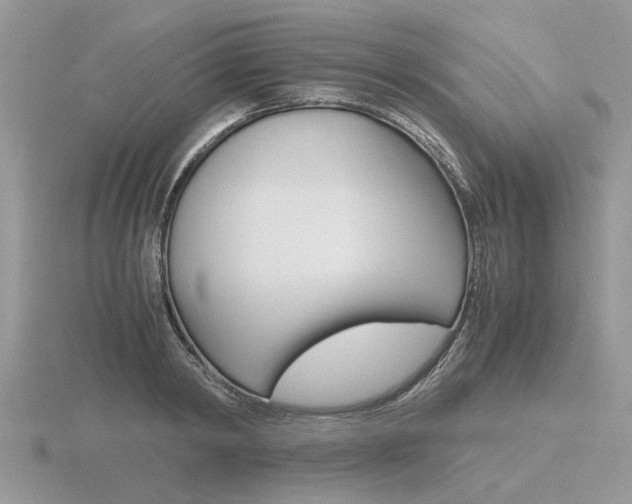X0000116600798200912110939