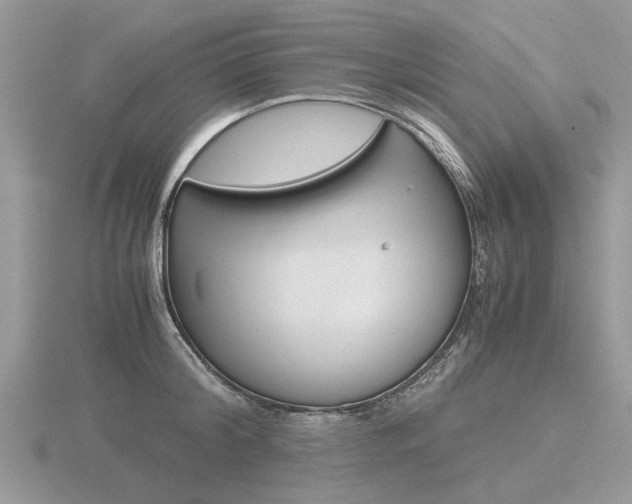 X0000116600804200912110939
