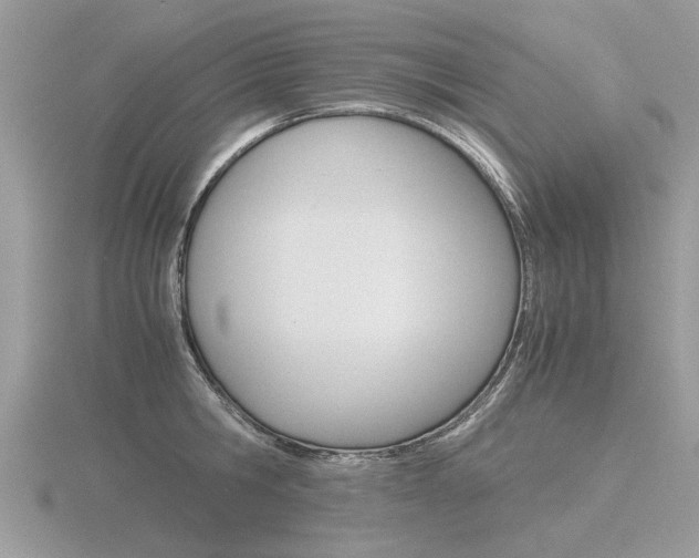 X0000116600806200912110939
