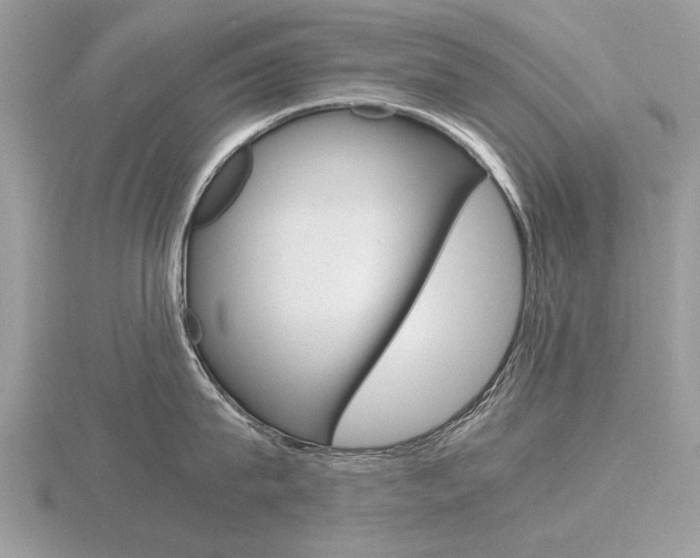 X0000116600815200912110938