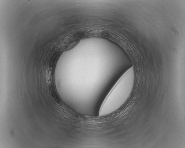 X0000116600818200912110938