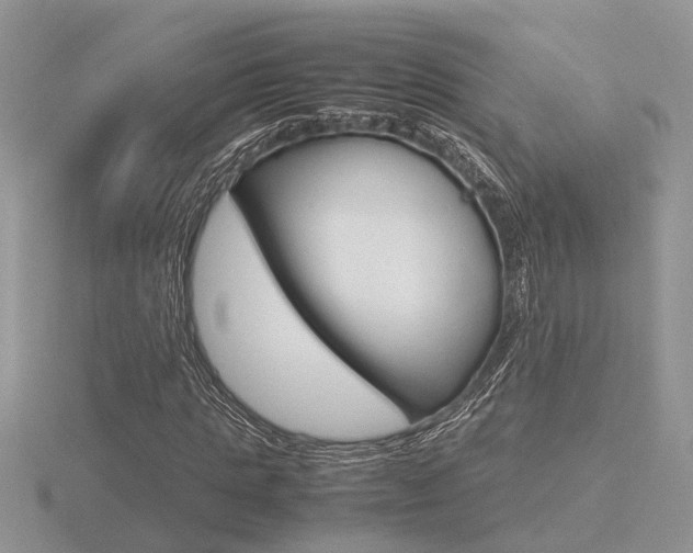 X0000116600821200912110938