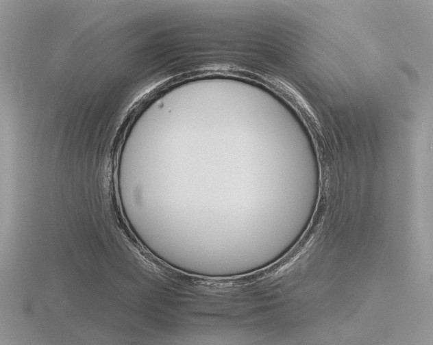 X0000116600831200912110938