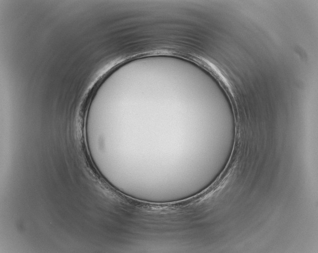 X0000116600835200912110938