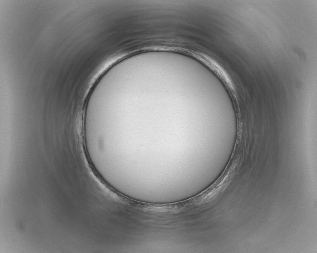 X0000116600855200912110938