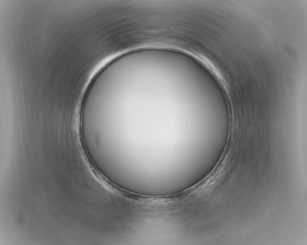 X0000116600862200912110938