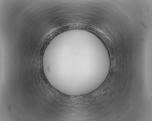 X0000116600870200912110938
