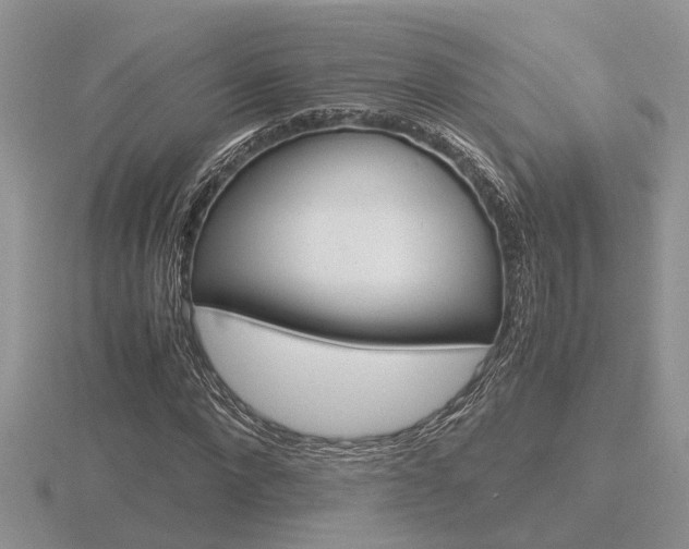 X0000116600872200912110938