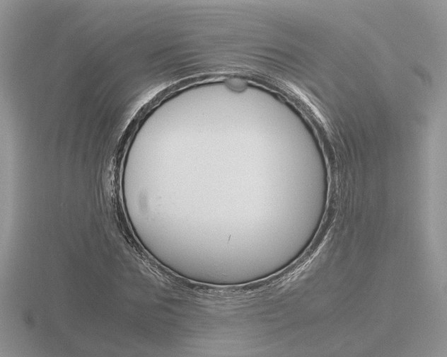 X0000116600875200912110937