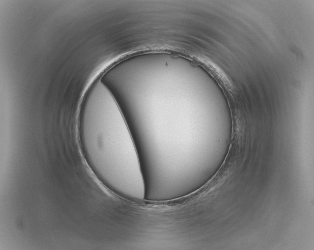X0000116600894200912110937