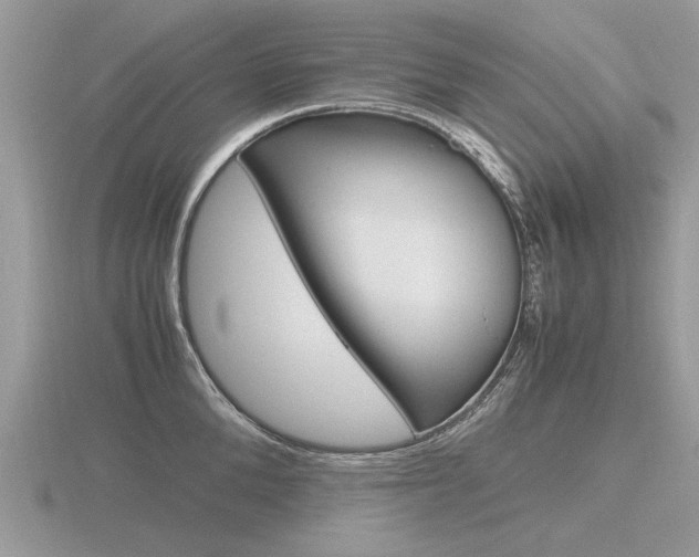 X0000116600904200912110937