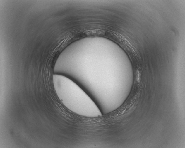 X0000116600915200912110936