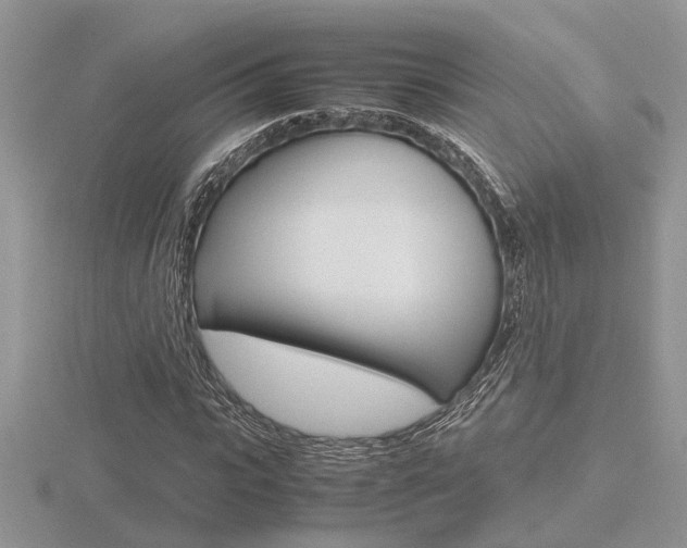X0000116600919200912110936