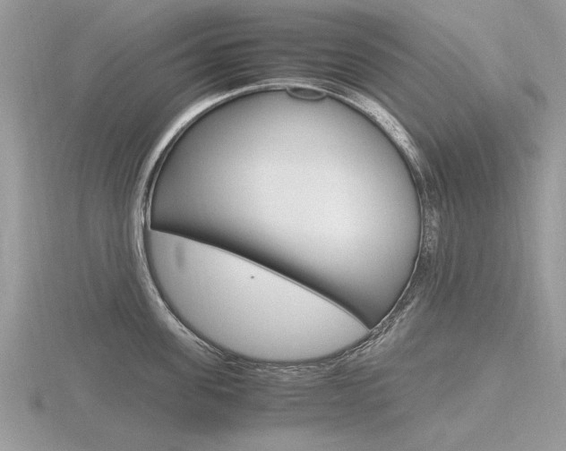 X0000116600955200912110937
