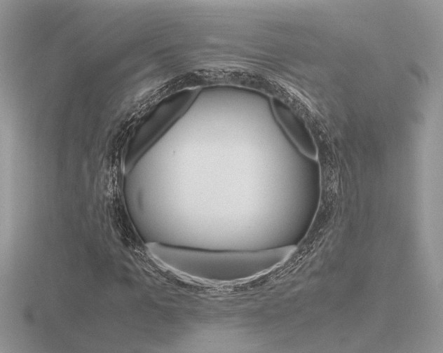 X0000116600965200912110936