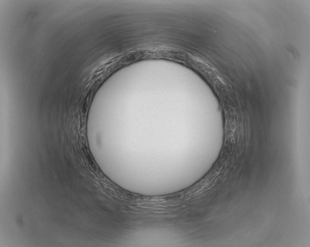 X0000116600966200912110936