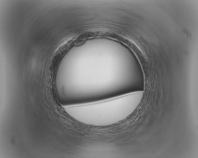 X0000116600967200912110936
