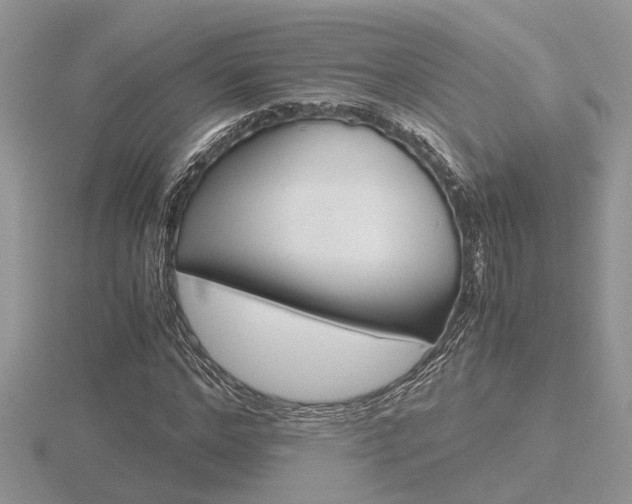 X0000116600968200912110936