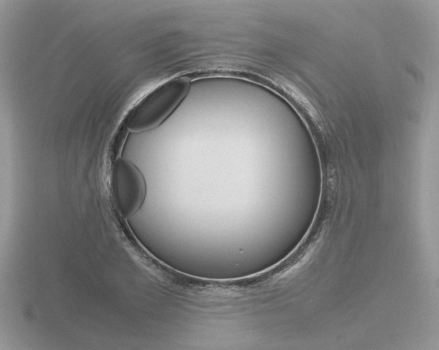 X0000116600981200912110936