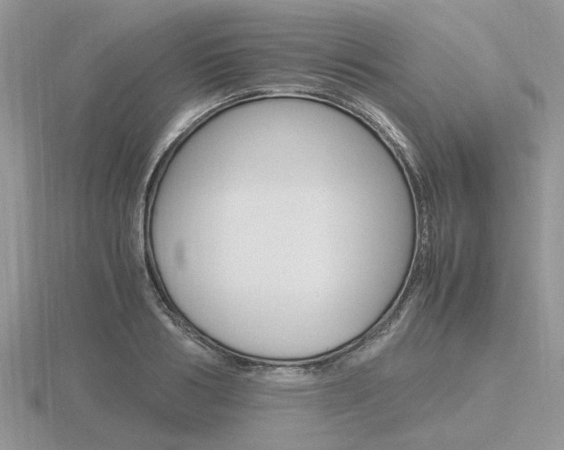 X0000116600986200912110936