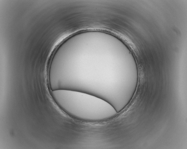 X0000116600990200912110936