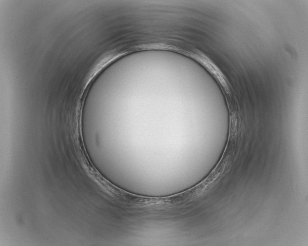 X0000116601002200912110936