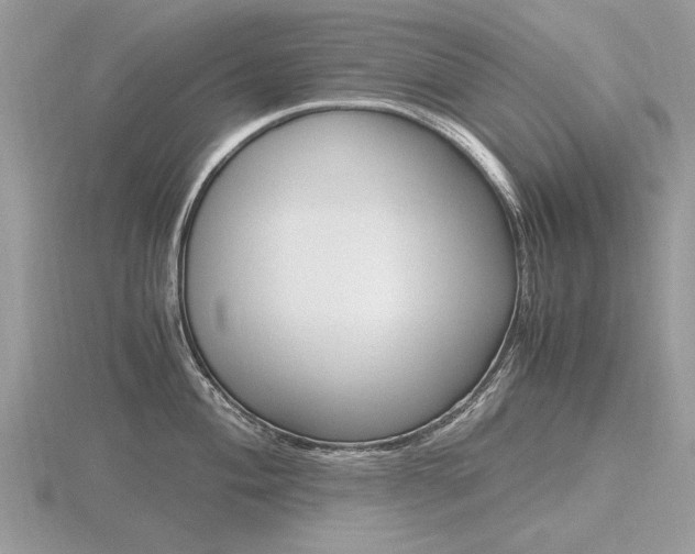 X0000116601004200912110936