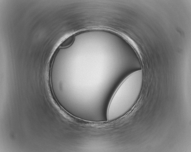 X0000116601005200912110936