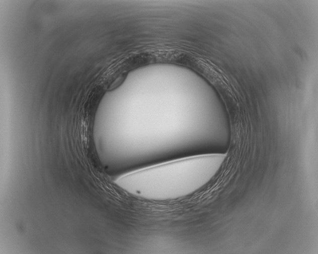 X0000116601010200912110935
