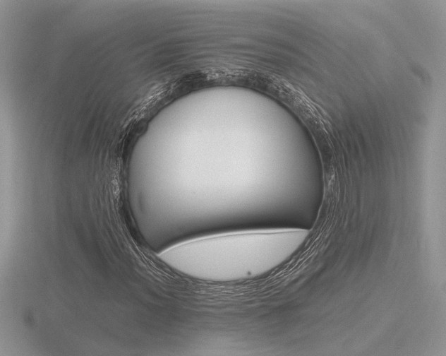 X0000116601012200912110935