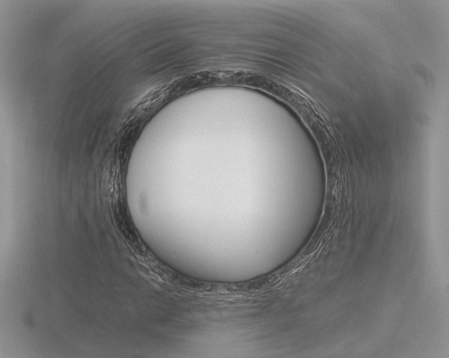 X0000116601014200912110935