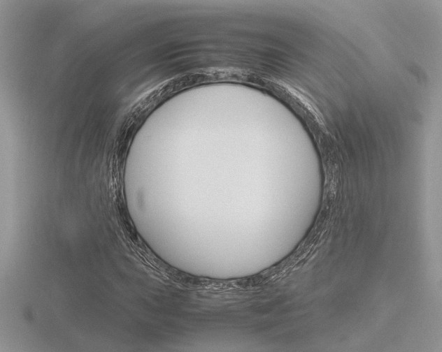 X0000116601015200912110935