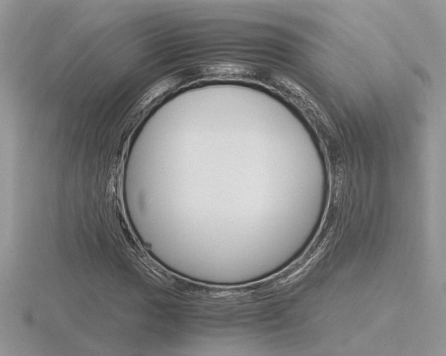 X0000116601017200912110935