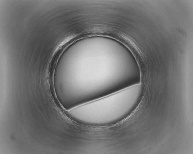 X0000116601018200912110935