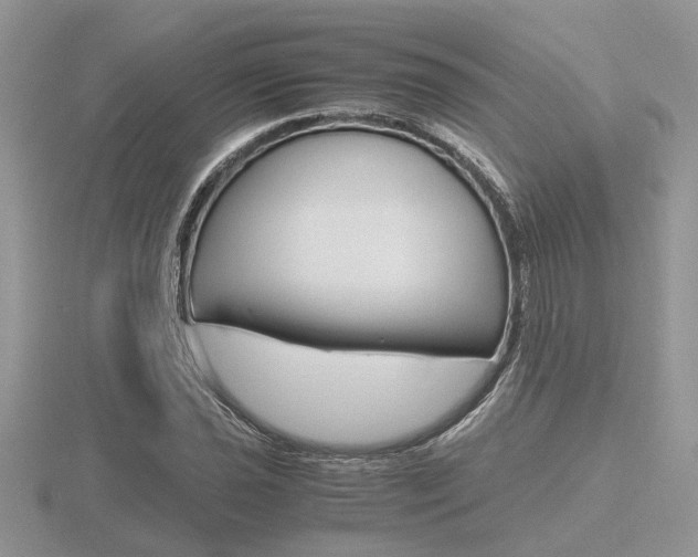 X0000116601021200912110935