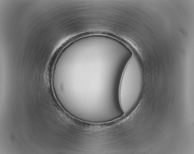 X0000116601022200912110935