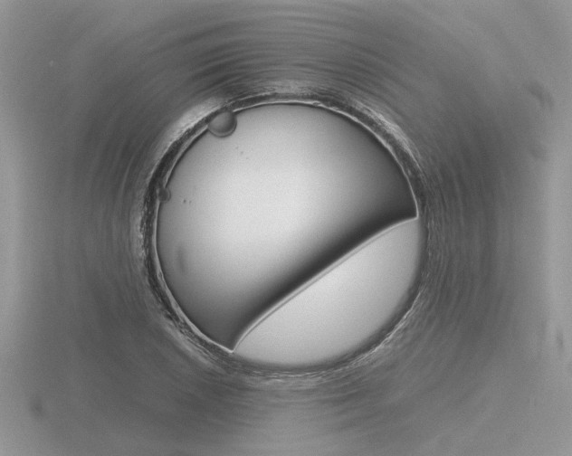 X0000116601026200912110935