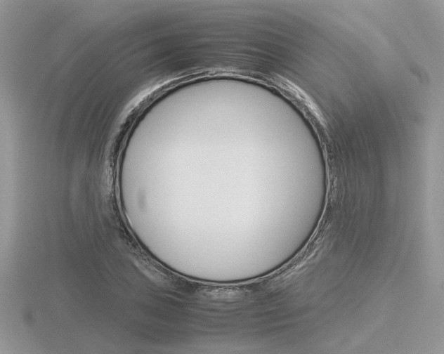 X0000116601027200912110935