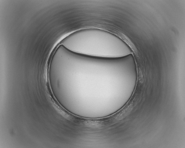 X0000116601036200912110936
