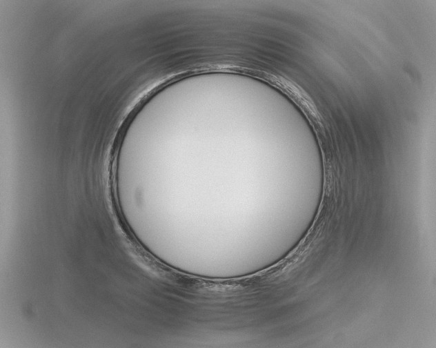 X0000116601039200912110936