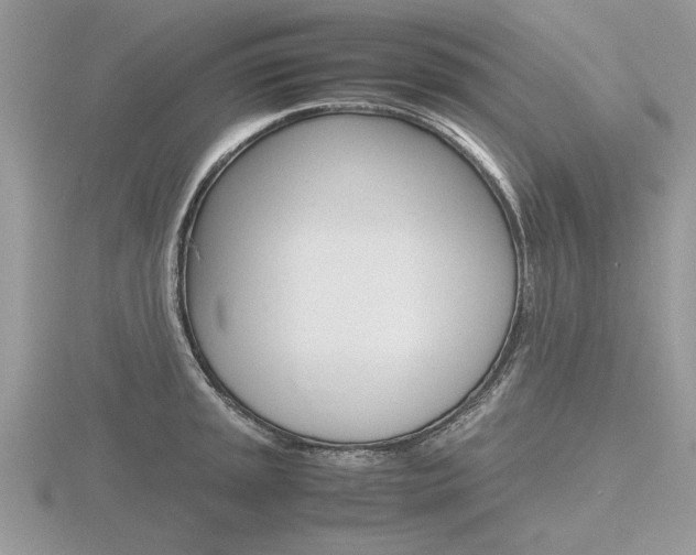 X0000116601045200912110936