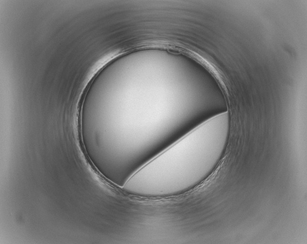 X0000116601050200912110936