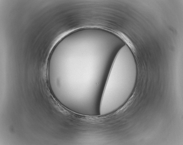 X0000116601052200912110936