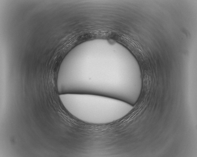 X0000116601058200912110935